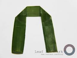 images_026